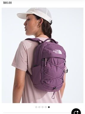 The North Face Borealis Mini Backpack